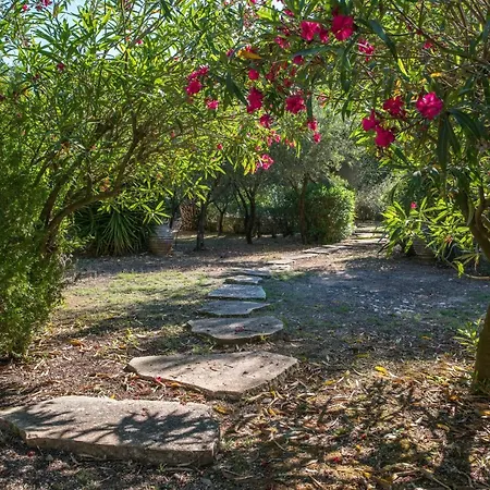 Basilica Estate Villa Porto Ozias