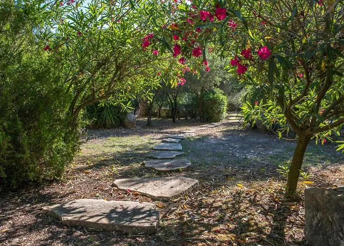 Basilica Estate Vila Porto Ozias